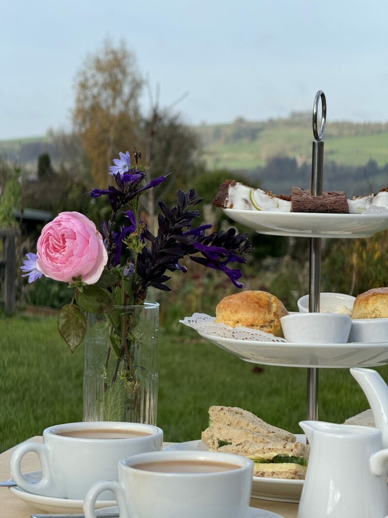 Gift Voucher for Farm Afternoon Tea For Two